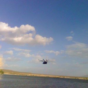 Meet your Posher, Jaimee